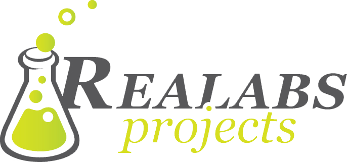 Realabs Projects - website development, SEO, SMM